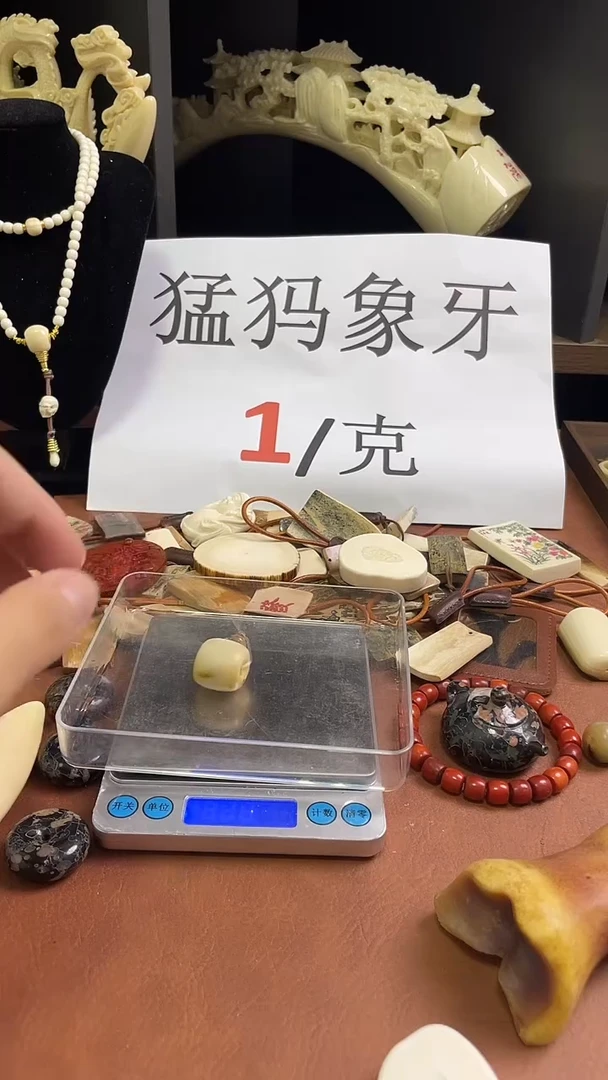 猛犸咩咩19m分体三通