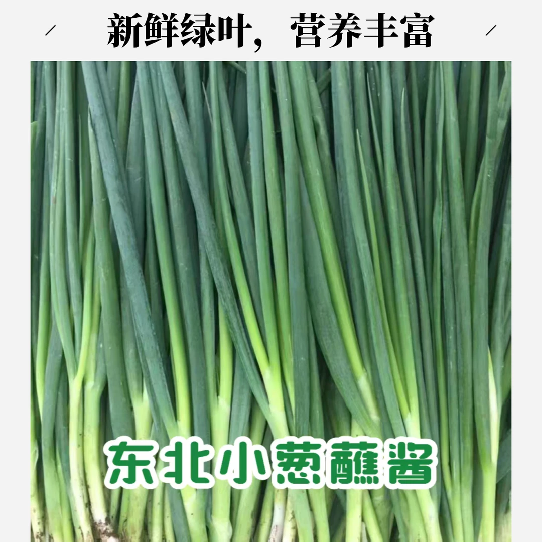 东北农家小旱葱新鲜采摘