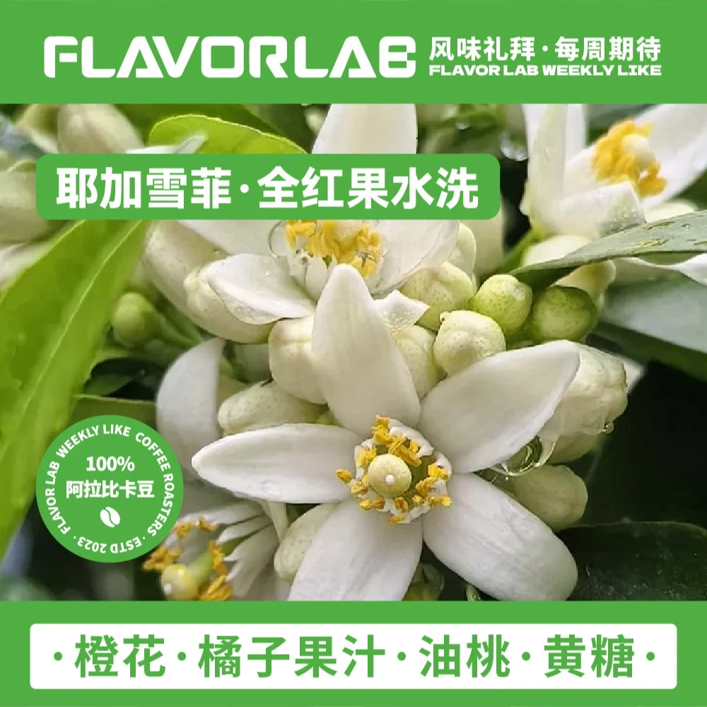 耶加雪菲-浅度烘焙-橙花橘子果汁油桃黄糖手冲冷萃咖啡豆