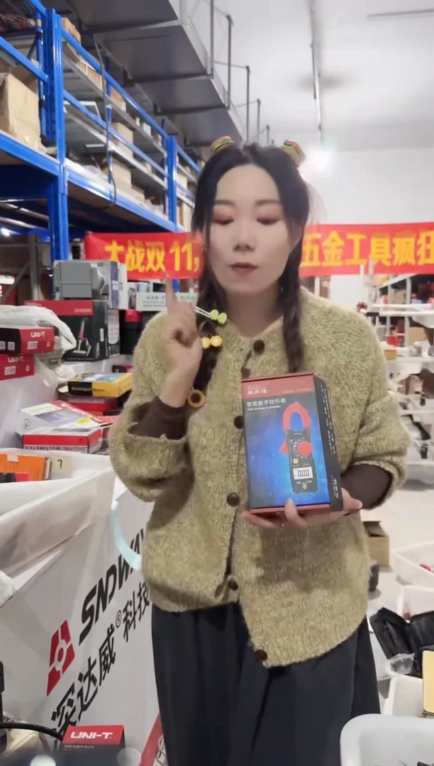 胜鼎隆LG-D201高精度数字钳形表