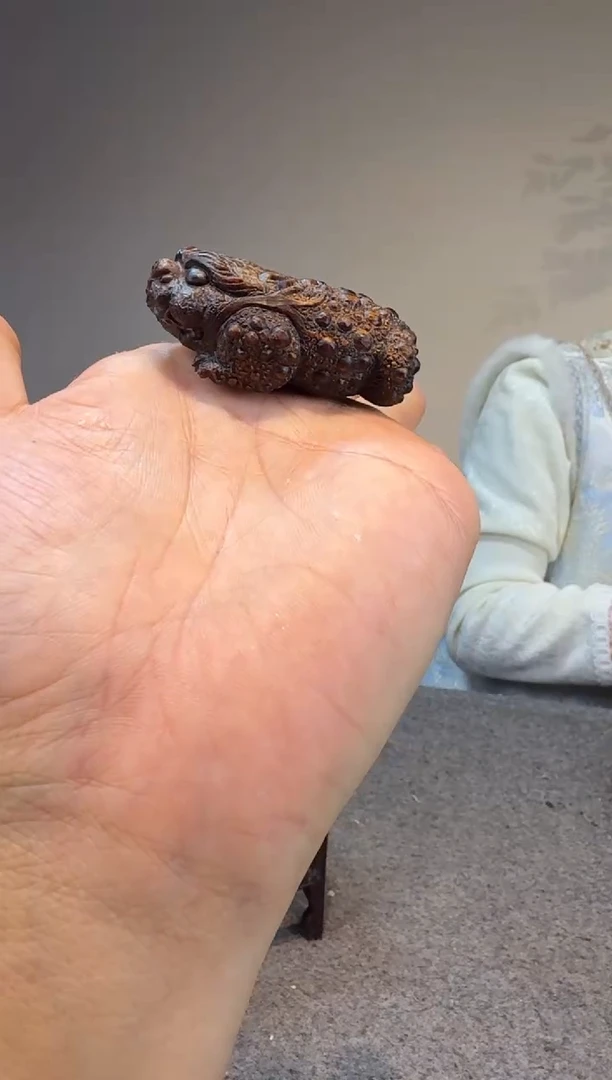 木罒**天贡木贡木贡木