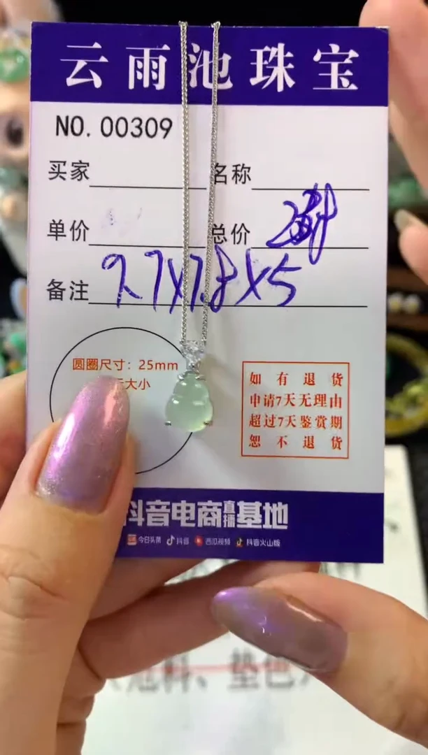 翡翠银S925镶嵌颈饰翡翠