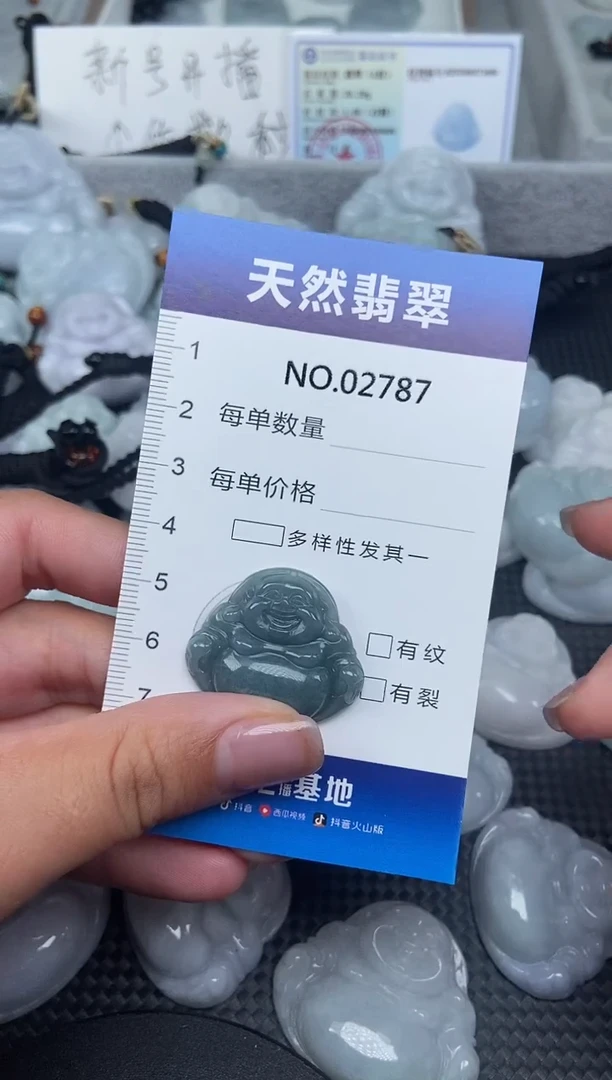 颈饰未镶嵌翡翠纯天然A货翡翠2787