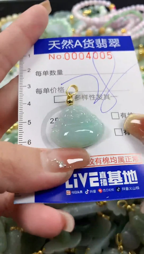 颈饰未镶嵌翡翠天然A货翡翠