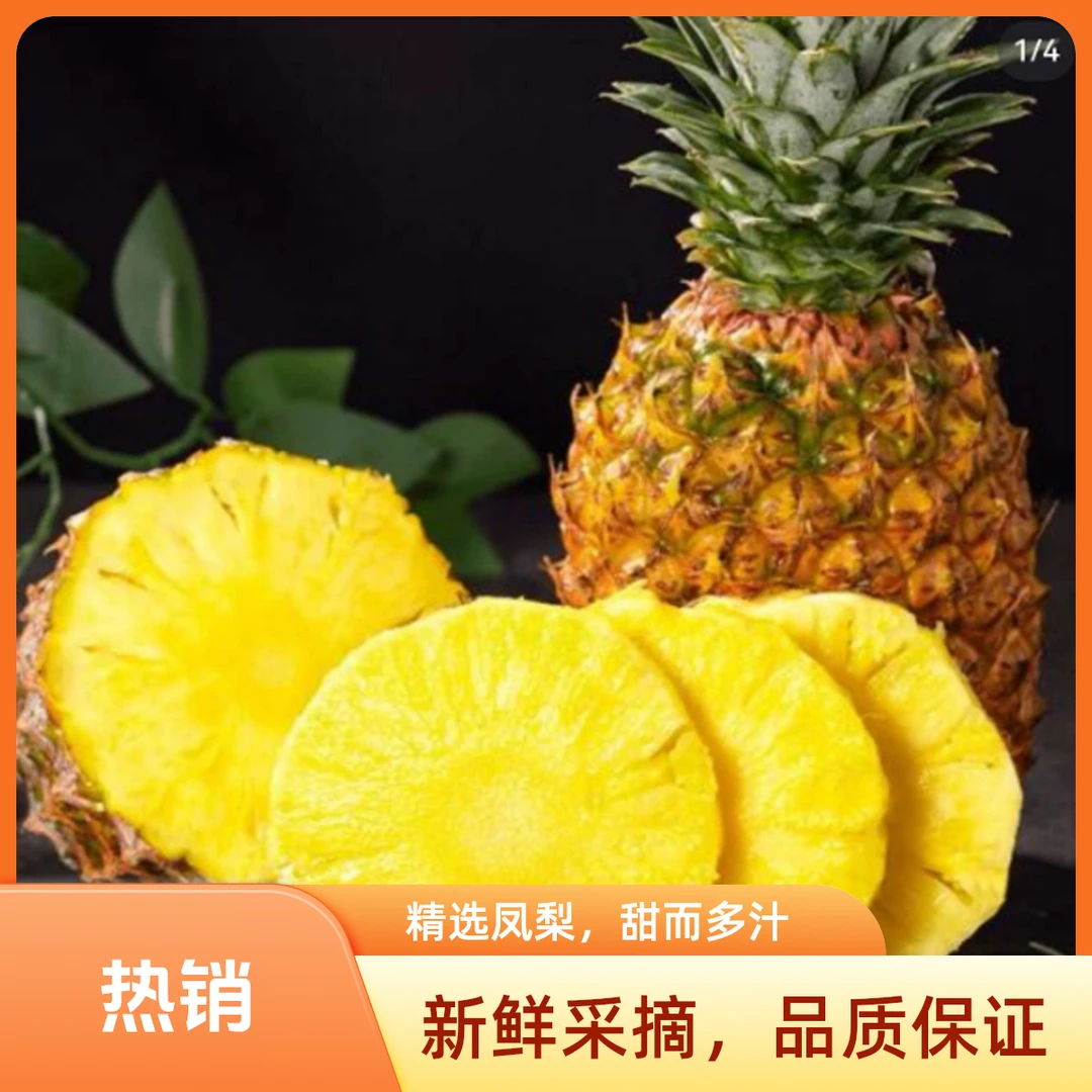 海南新鲜当季金钻凤梨 自然成熟脆甜多汁 果地现摘现发