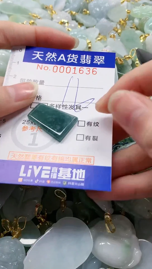 颈饰未镶嵌翡翠纯天然a货翡翠