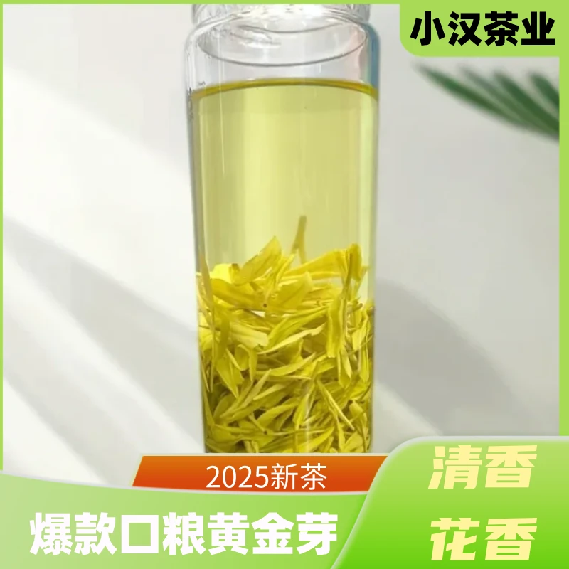 2025【老茶客口粮茶黄金芽】 新茶A15爆款高山口粮黄金芽浓香耐泡