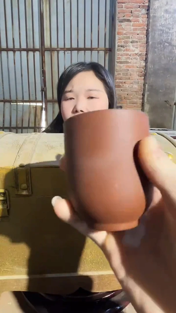 瓷片景德镇陶瓷闪购D16