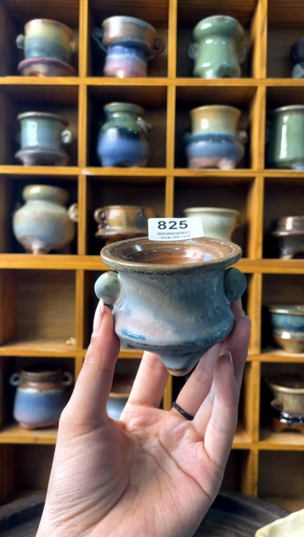 825【多肉花盆多肉盆】