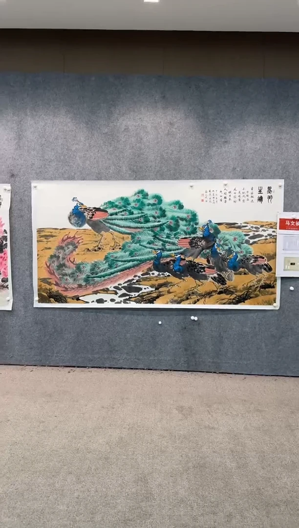 【闪购商品】国画pmw不二轩旗舰店国画MWZ5