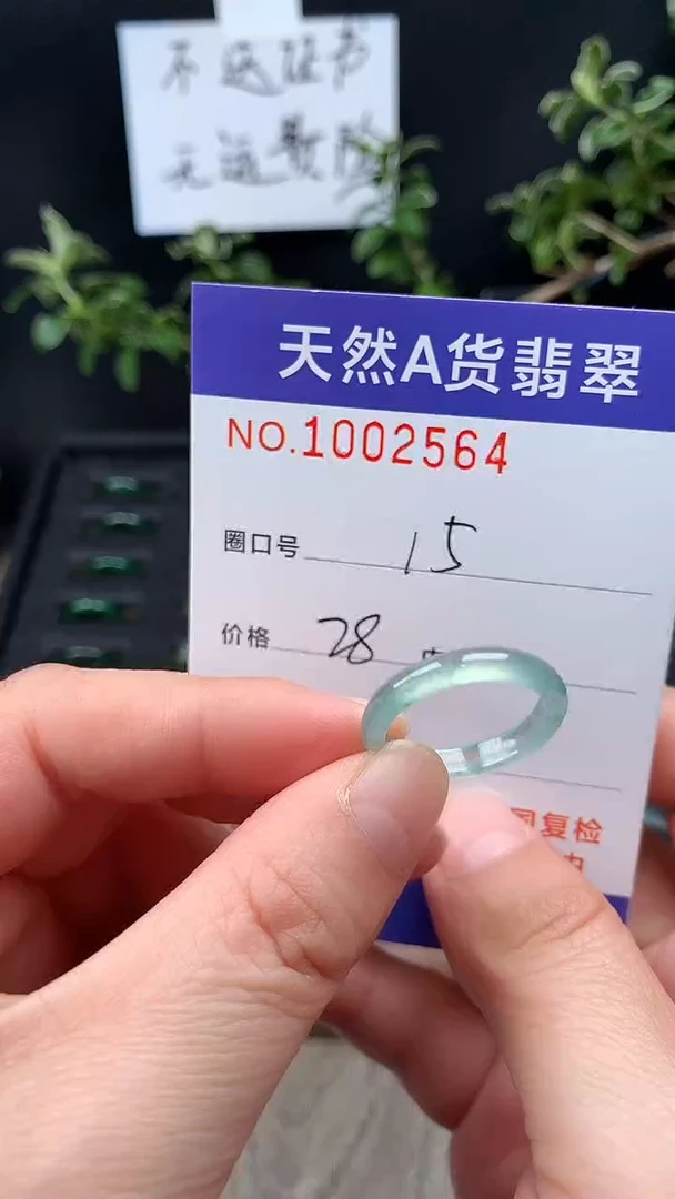 未镶嵌戒指翡翠15#