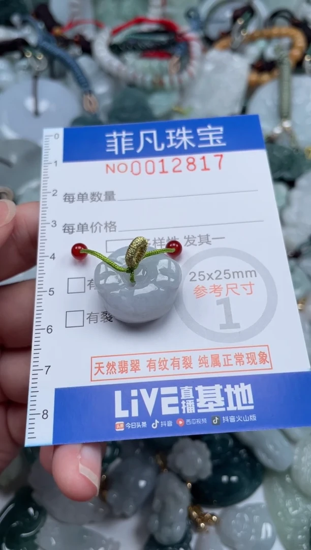 颈饰未镶嵌翡翠12817