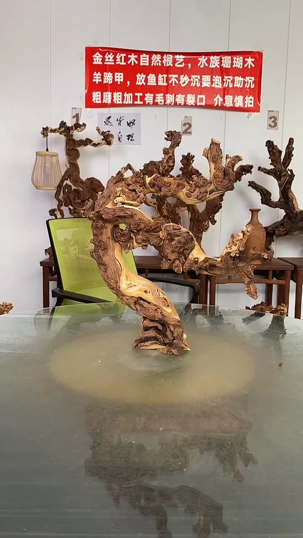 香榧木?****?金丝红木 羊蹄甲