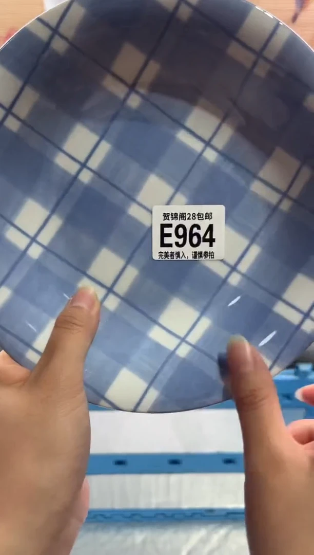 瓷片---------E964
