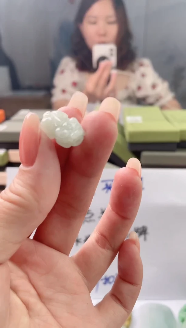 翡翠未镶嵌吊坠(赠链)貔貅