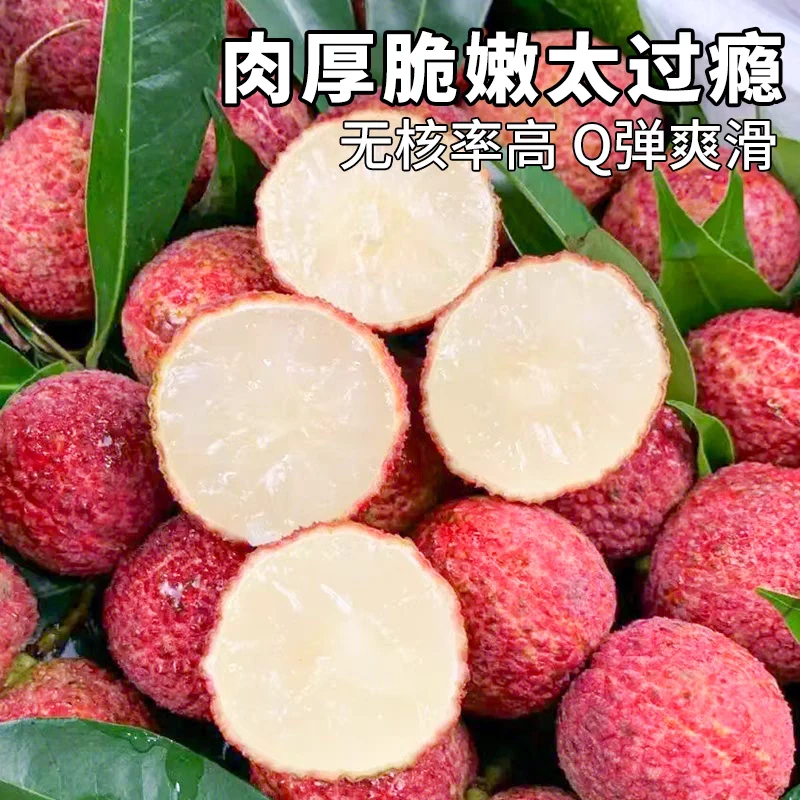 【顺丰包邮】正宗海南无核荔枝新鲜应季水果