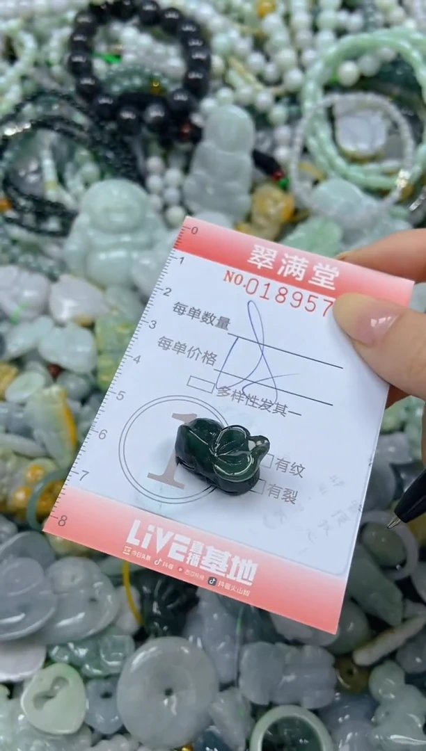 颈饰未镶嵌翡翠闪购0189570