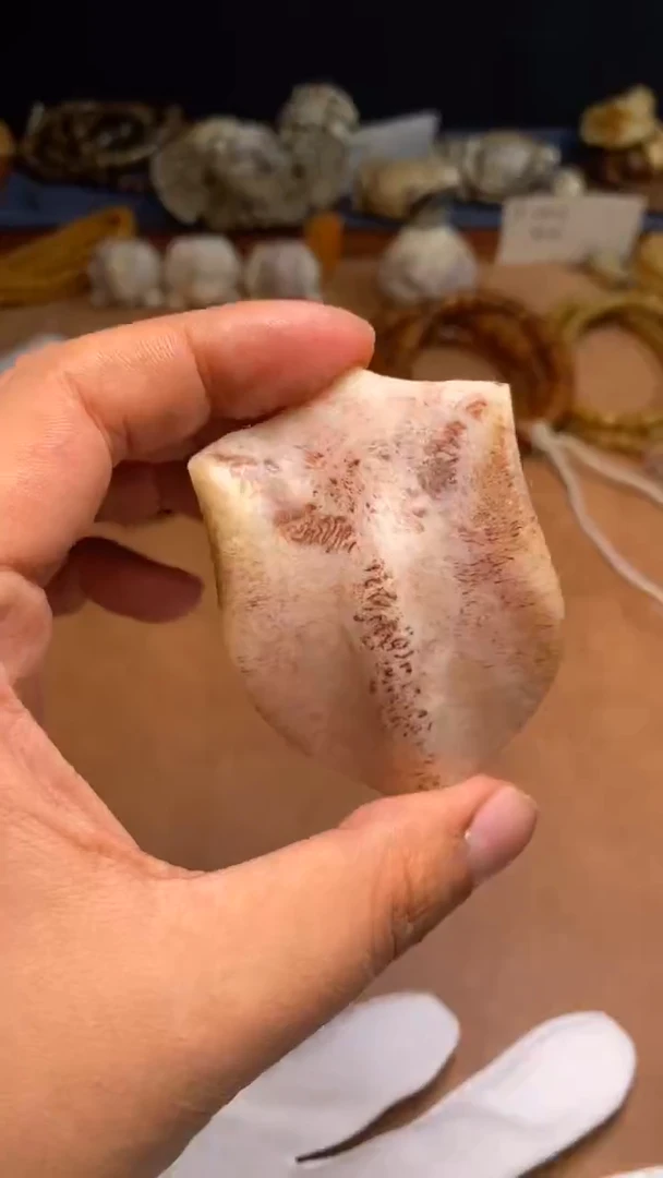 其他鹿骨杂件171-公鹿三界