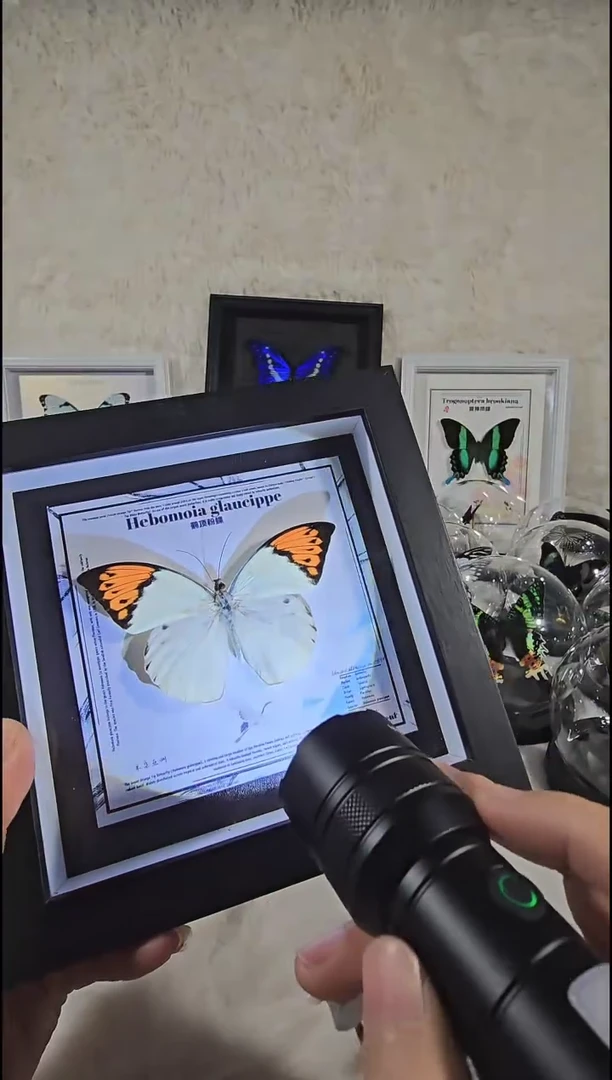 鹤顶粉蝶xu新款相框