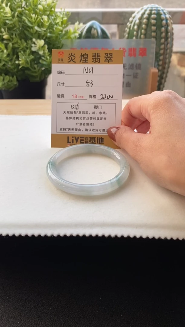未镶嵌手镯翡翠53圈口编码N01