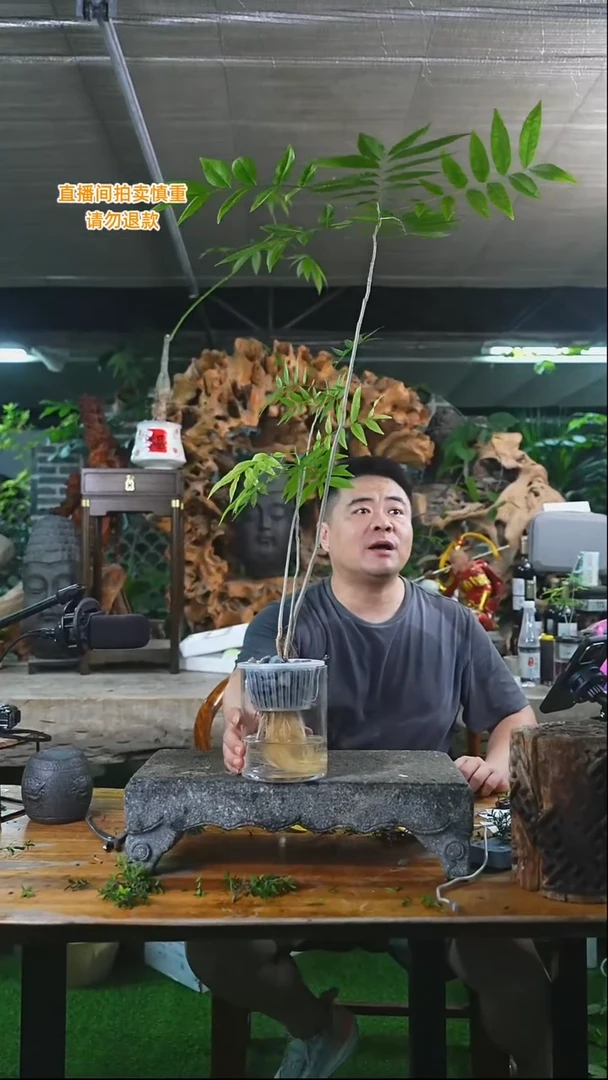 完全开放菩提024+