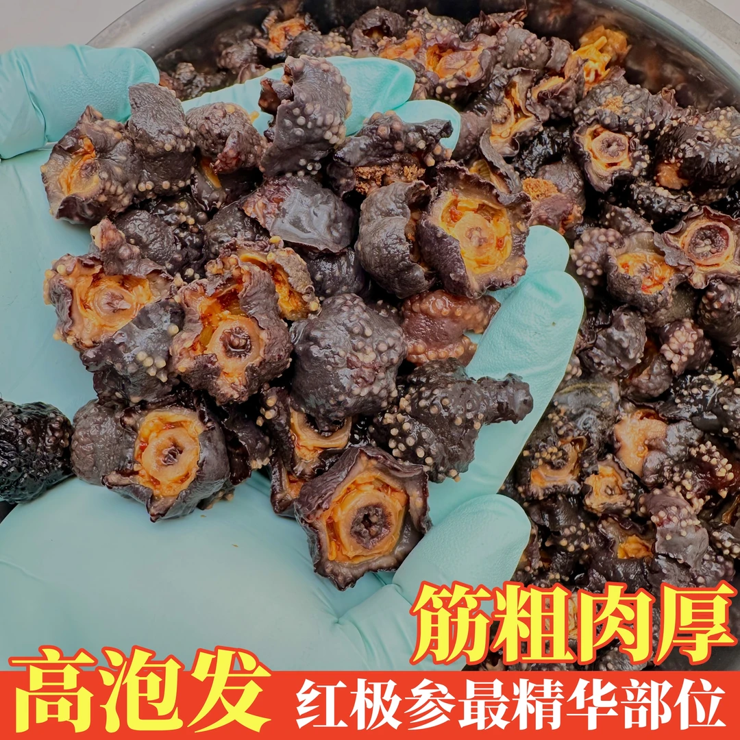 加拿大进口红极参角筒参淡干海参头1斤散装年货送礼非即食