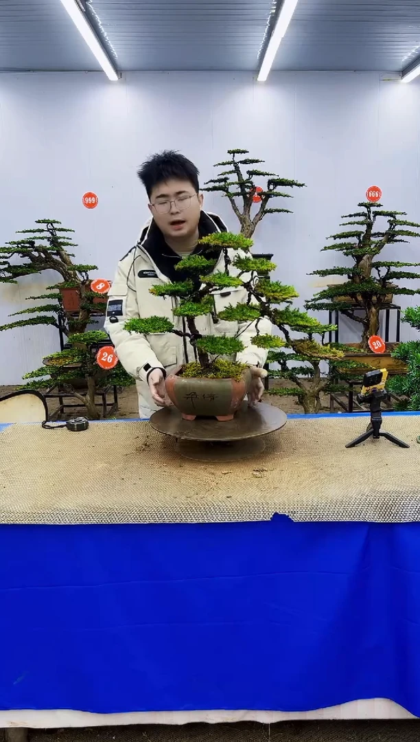 完全开放一物一拍，所见即所得