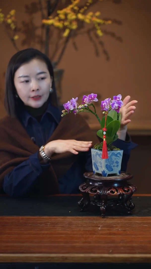 全部花朵小美人青花盆景盆景盆景