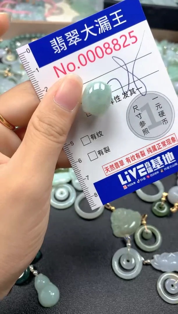 翡翠未镶嵌吊坠(不含链)8825