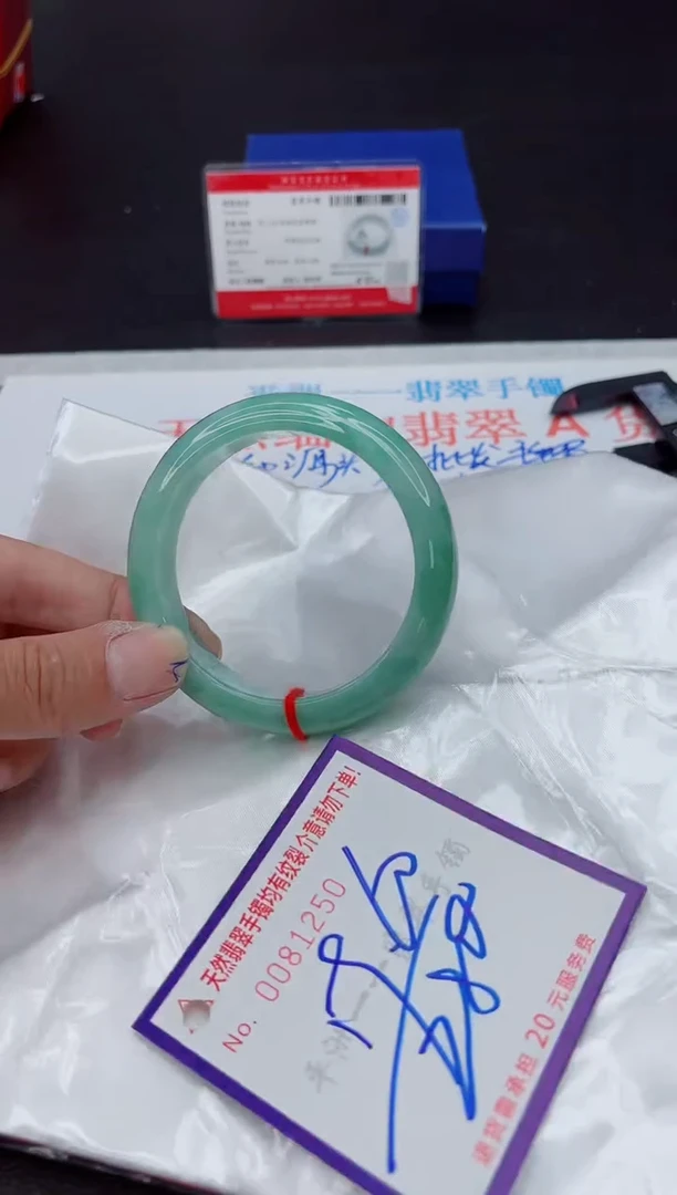 未镶嵌手镯翡翠1111111