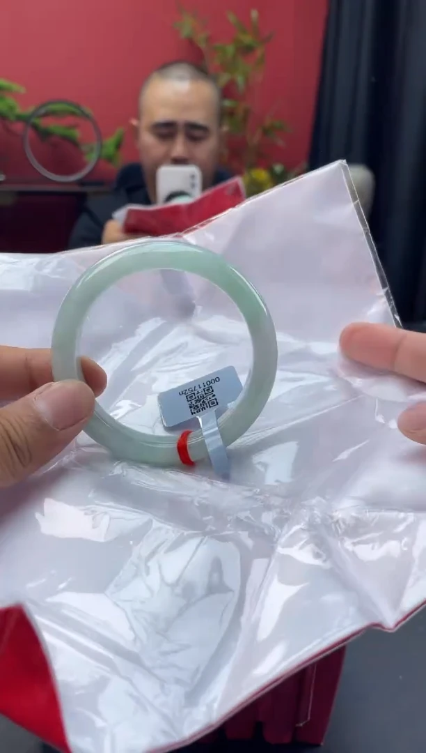 未镶嵌手镯翡翠4