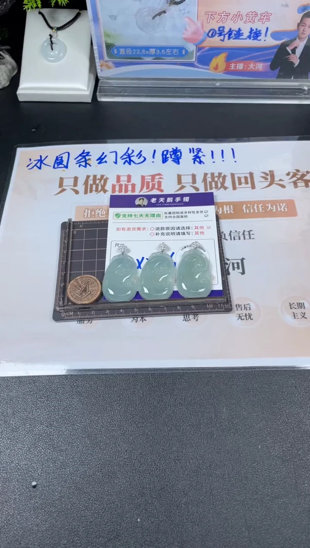 18K金镶嵌挂件翡翠如意FL13配绳/多样性发其一ZBCP