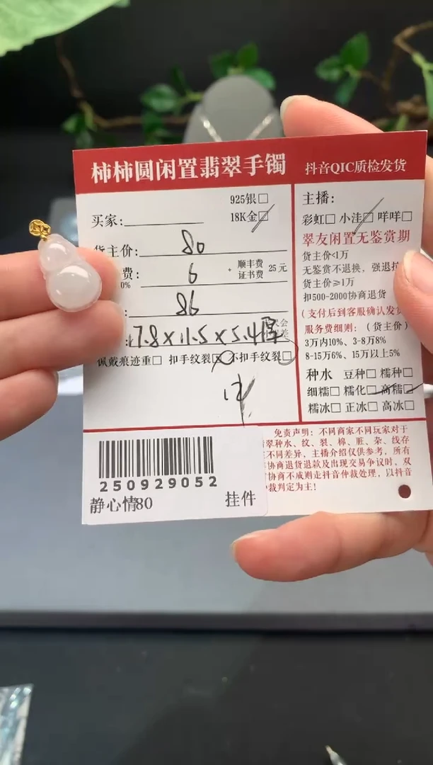 颈饰未镶嵌翡翠姐姐250929052