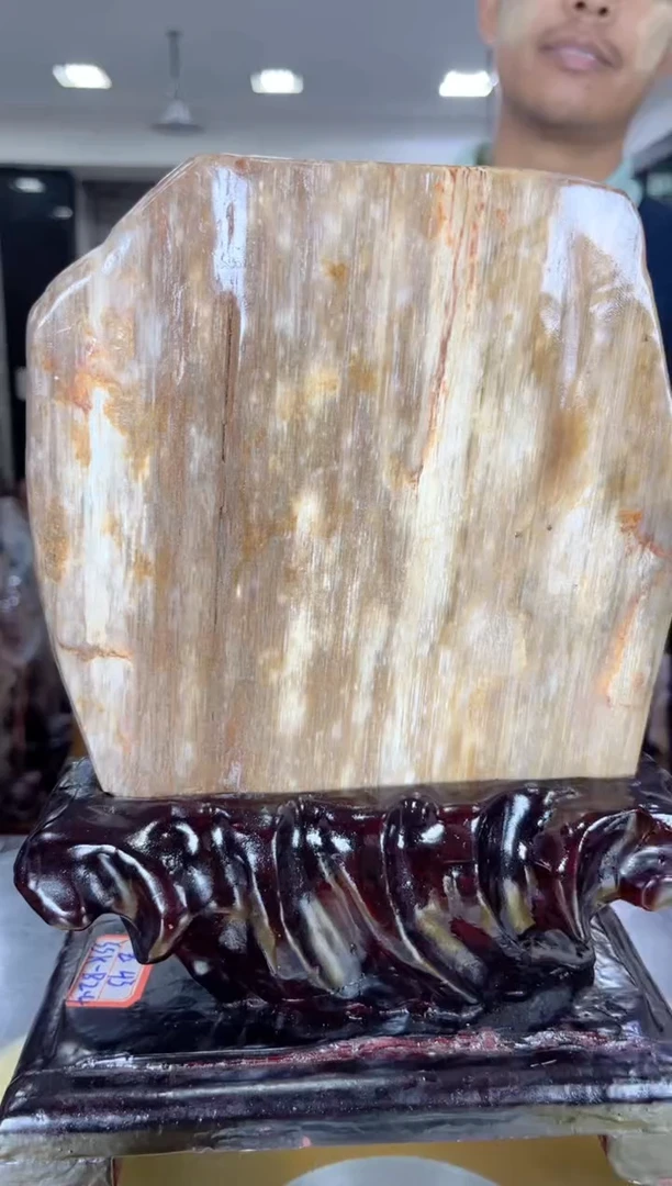 【闪购商品】硅化玉珠宝奇石未镶嵌缅甸天然树化玉