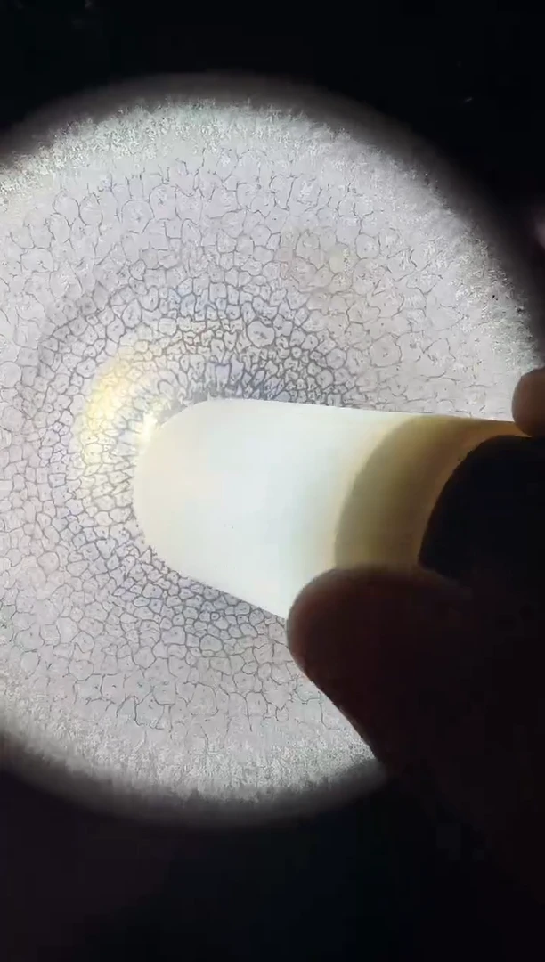 茶盏谢长旺龙窑柴烧17