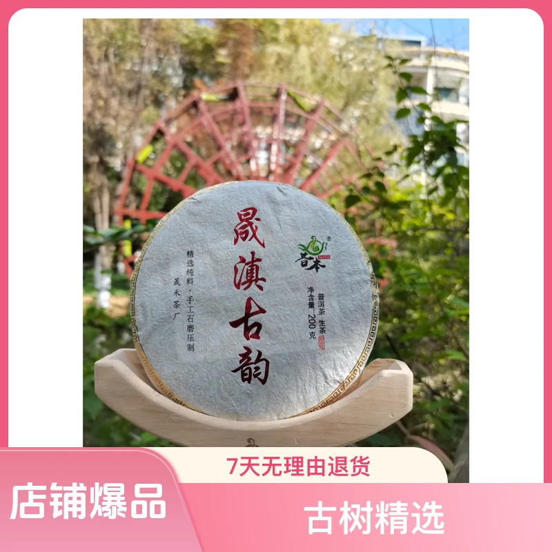 口粮茶古树精选独特普洱生茶200克春茶花果香手工炒制