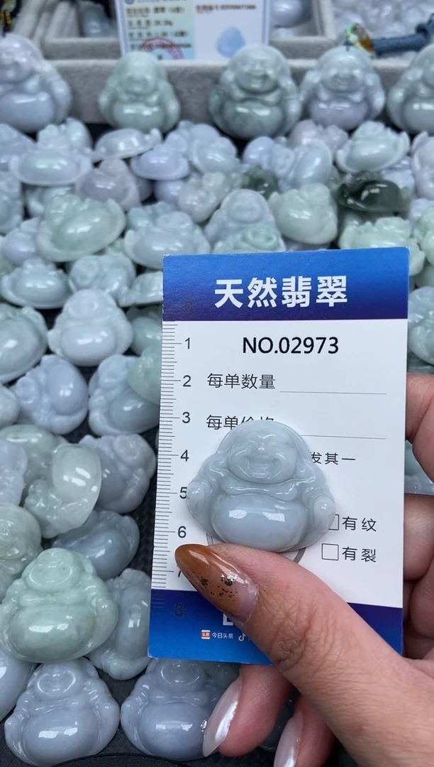 颈饰未镶嵌翡翠纯天然A货翡翠2973