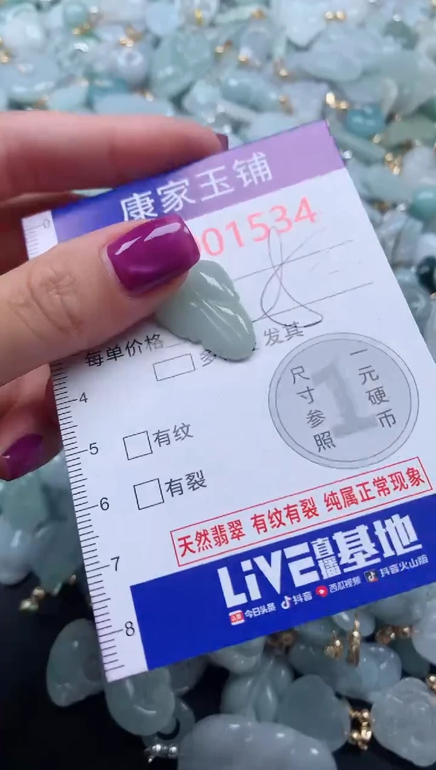 颈饰未镶嵌翡翠1534