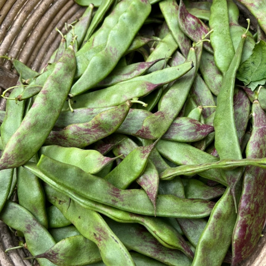 油豆角 约300±20g/份