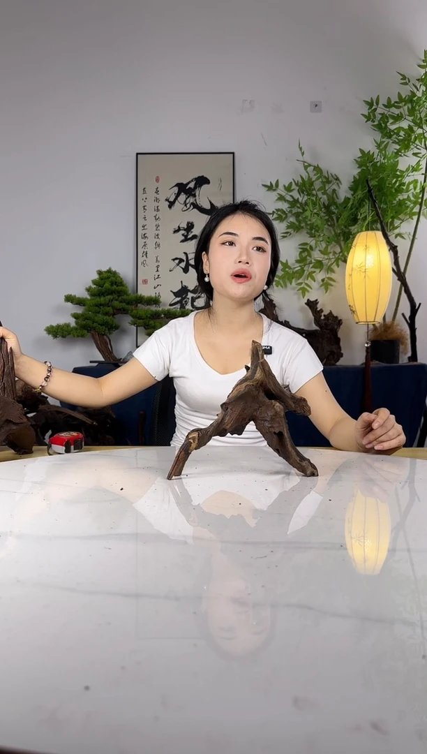 江拍这个定向编号117