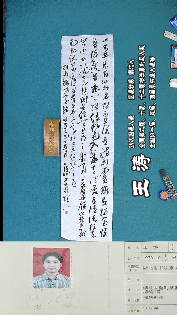 书法209R王涛书法作品