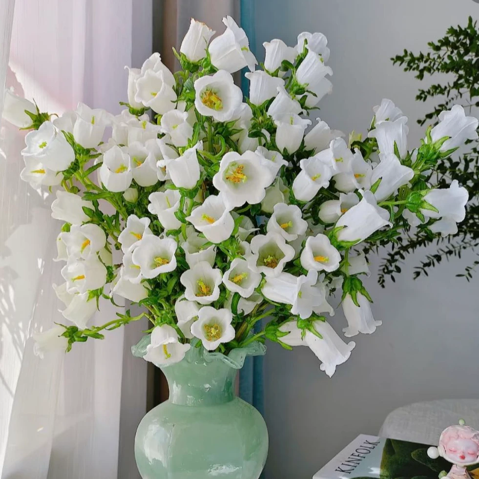【盼盼鲜花】白色风铃 灵动 鲜花两单起包邮 云南鲜花