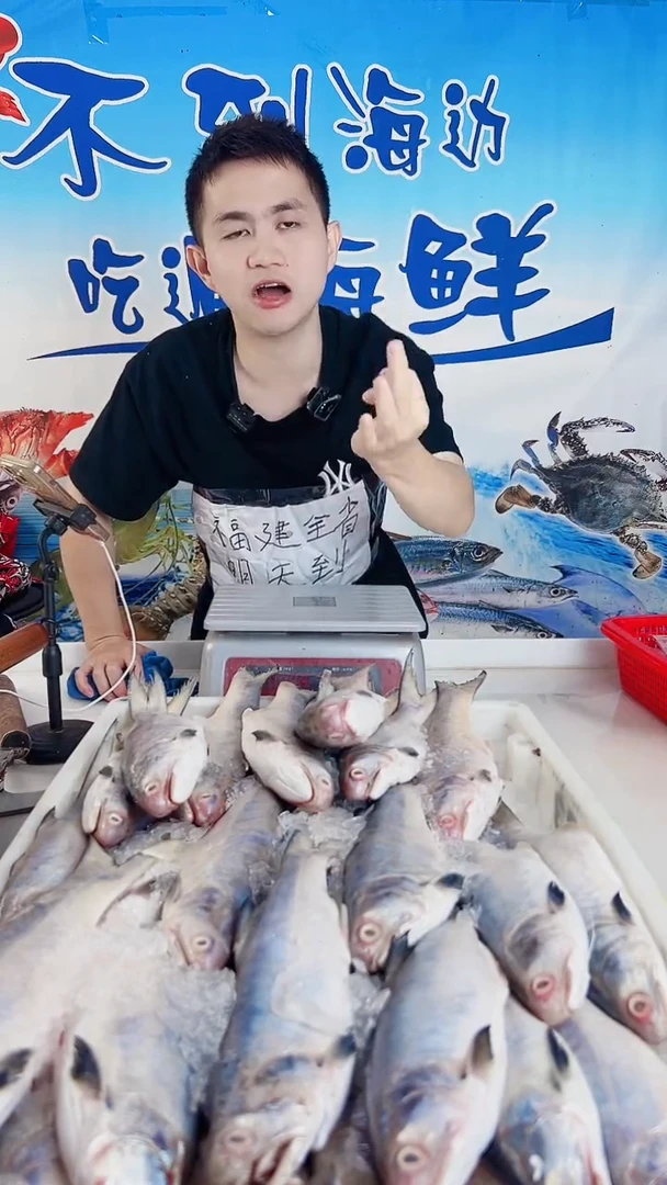 中国大陆闽****地三牙鱼   马鲛鱼   肉鲳鱼 各三斤共9斤