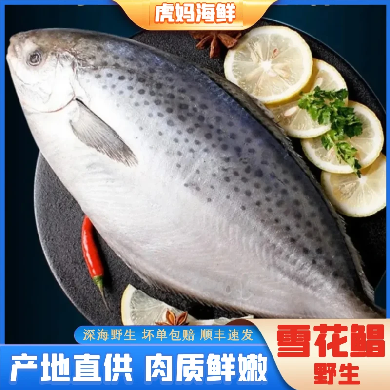 【虎妈海鲜】大号雪花鲳鱼纯野生深海鱼新鲜海鲜直播400-500g/条4条