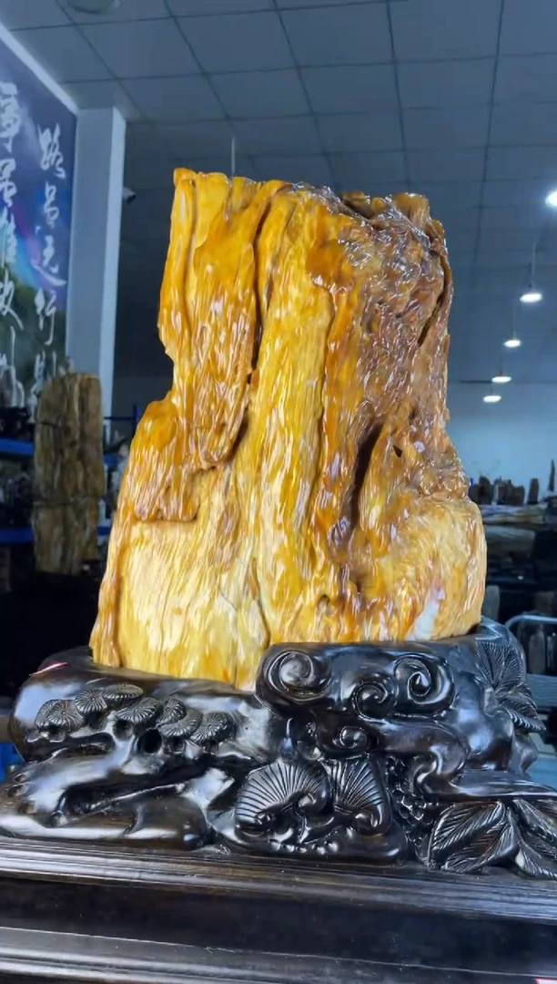 未镶嵌摆件硅化玉43