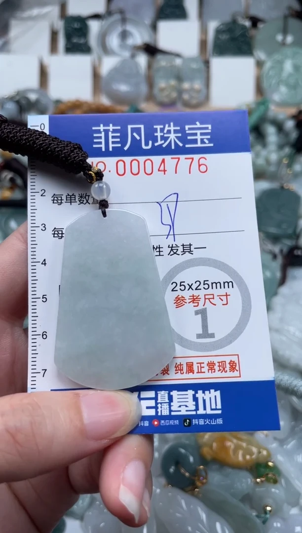 翡翠未镶嵌颈饰00..4776