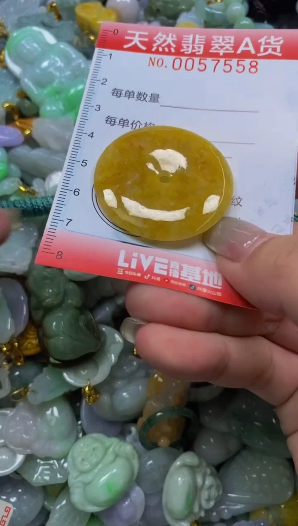 翡翠未镶嵌颈饰闪购0057558