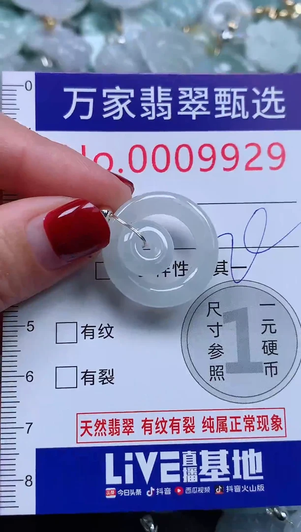 颈饰未镶嵌翡翠9929