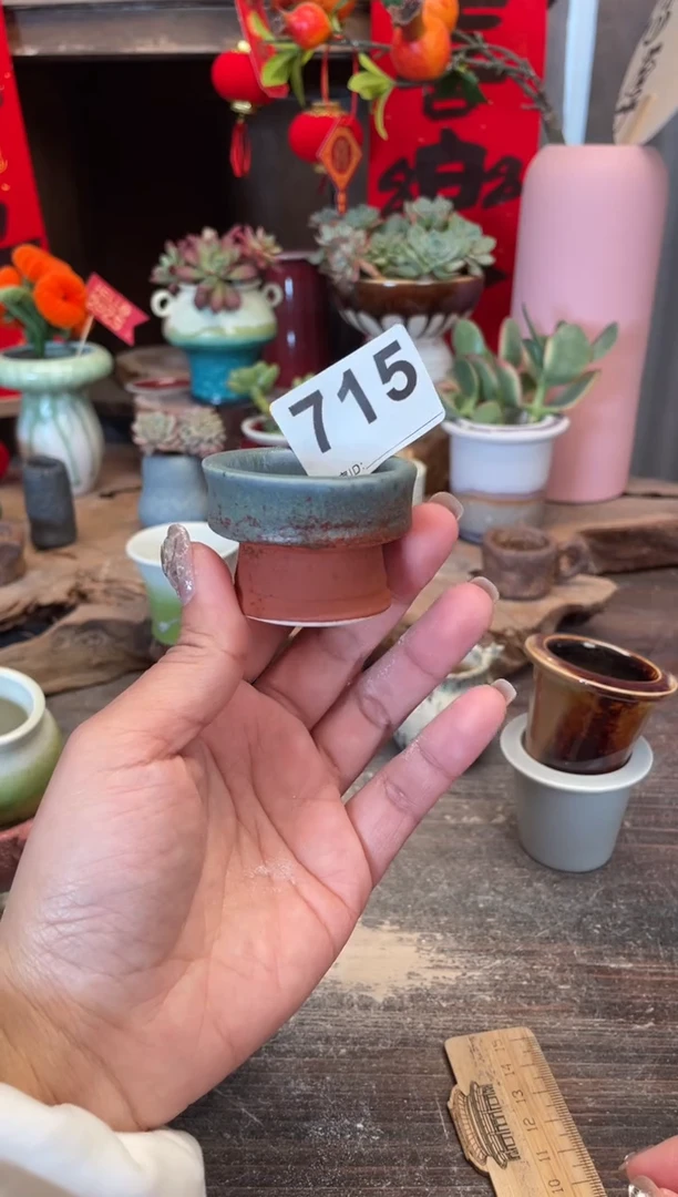 【闪购商品】摆件715福利知木小芳花盆