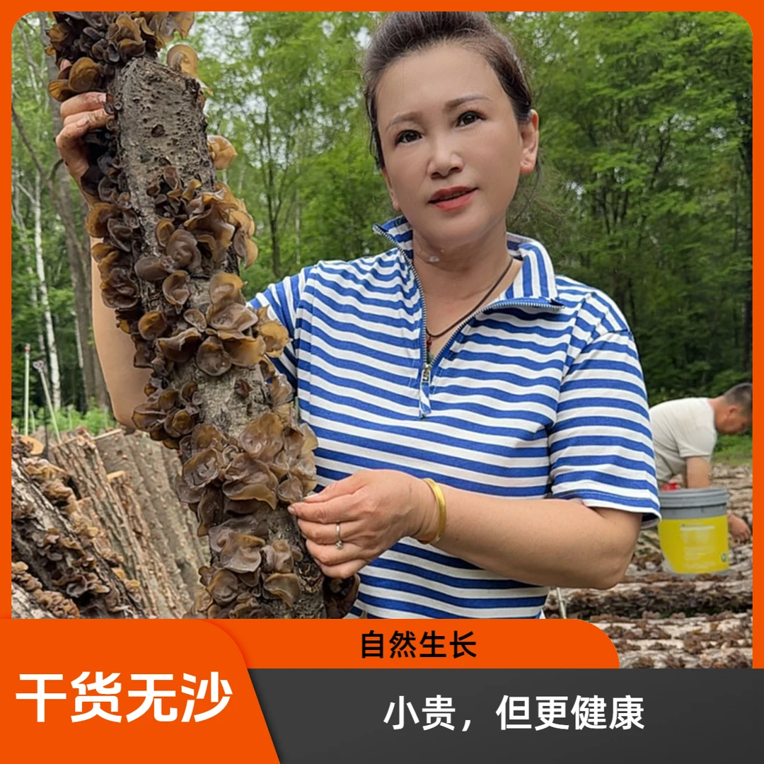 东北长白山木段木耳干货有根无沙软糯可口